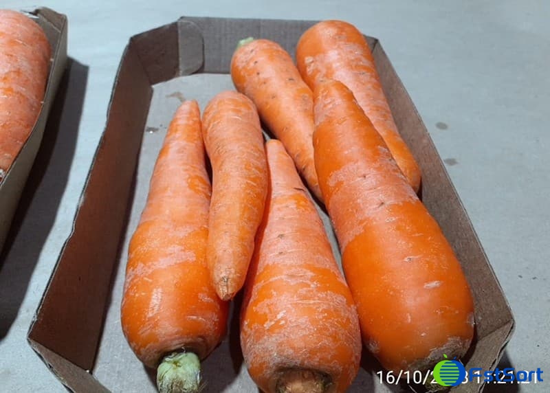 images/1700206917899carrot washing grading line.jpg